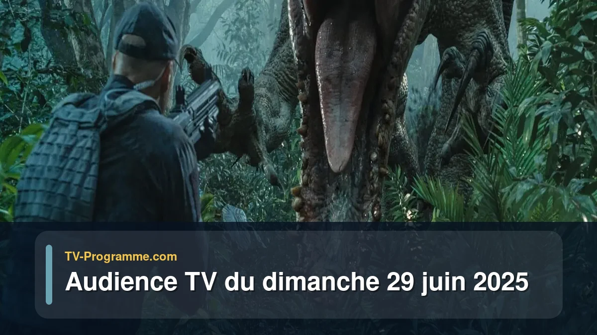 Audiences TV et audimat en prime time du Dimanche 29 juin 2025