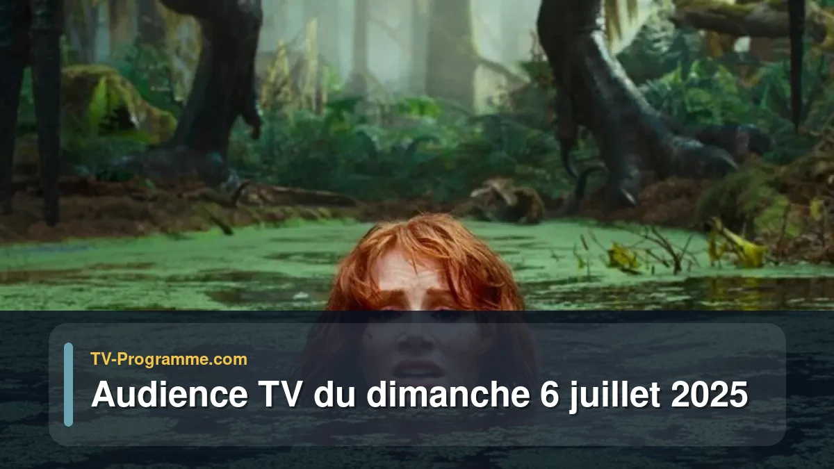 Audiences TV et audimat en prime time du Dimanche 6 juillet 2025