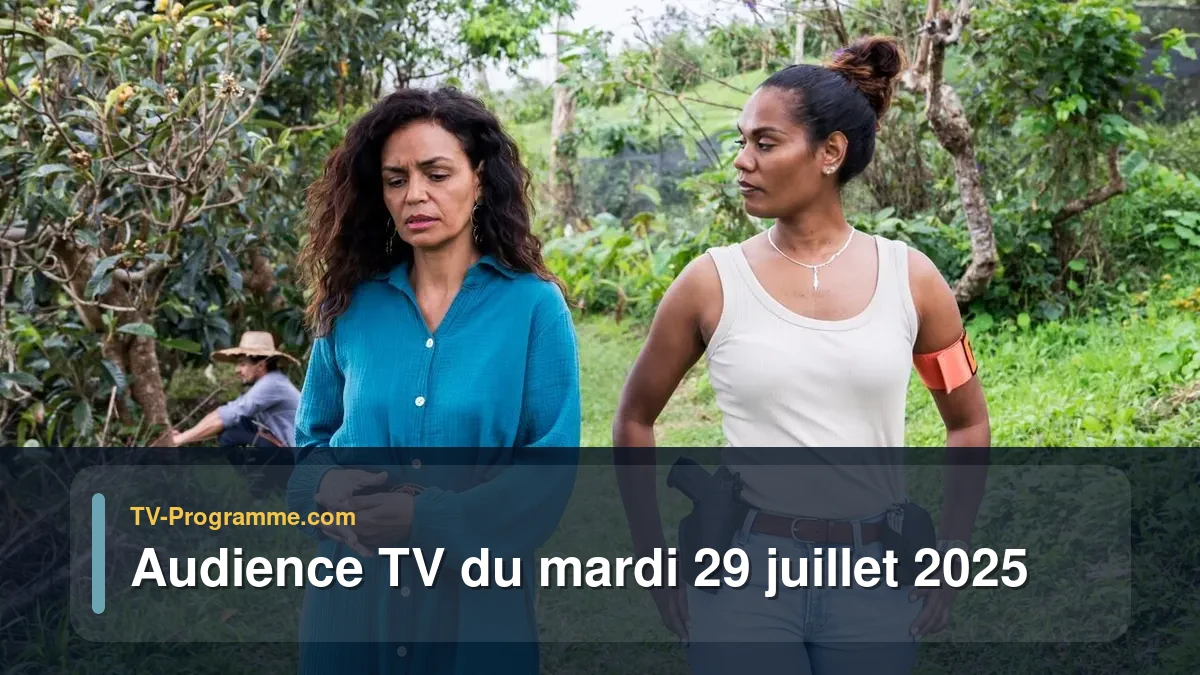 Audiences TV et audimat en prime time du Mardi 29 juillet 2025