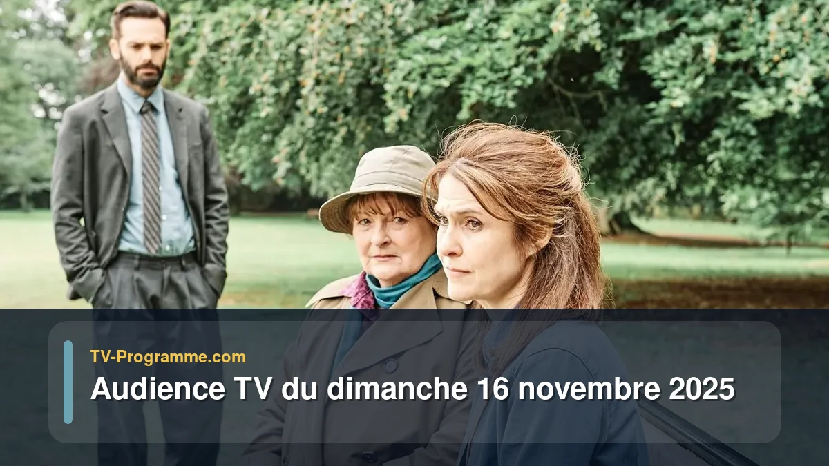 Audience TV du Dimanche 16 novembre 2025