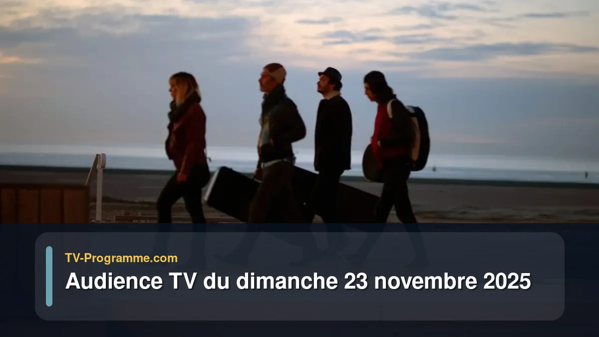 Audience TV du Dimanche 23 novembre 2025