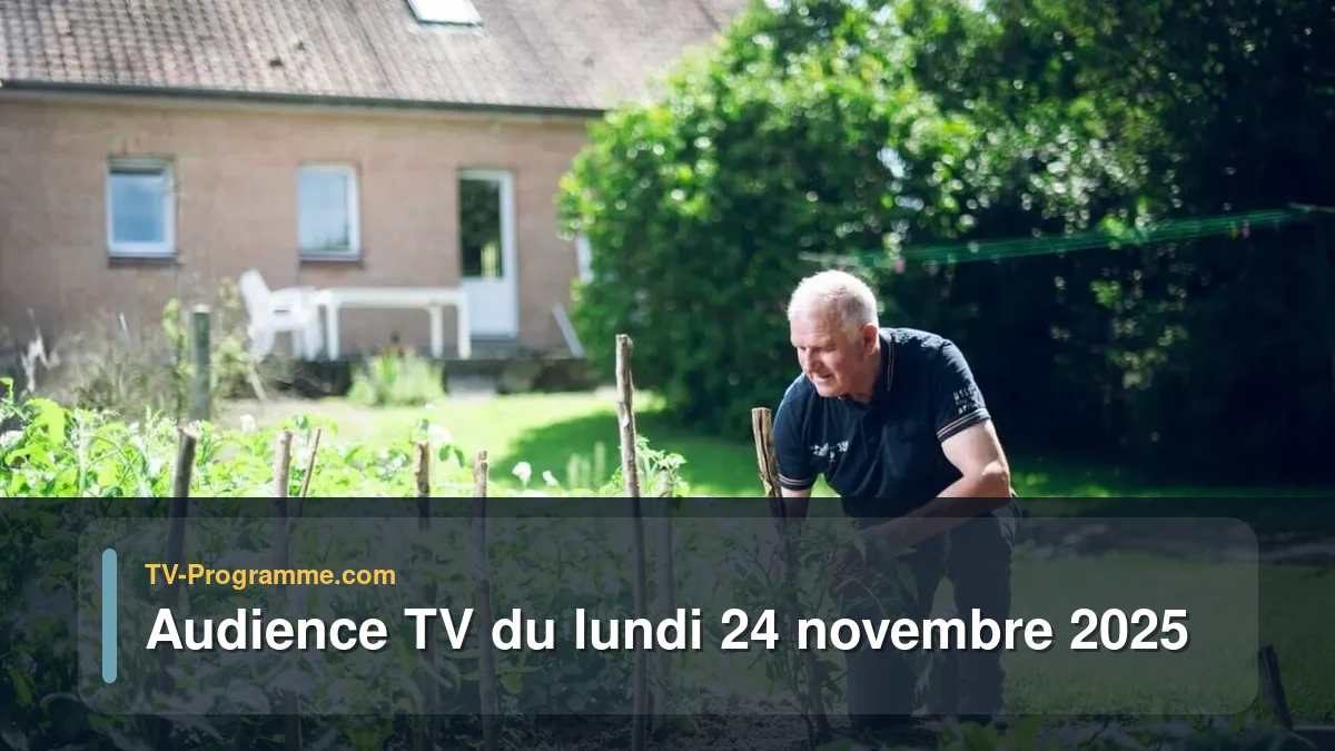Audiences TV et audimat en prime time du Lundi 24 novembre 2025