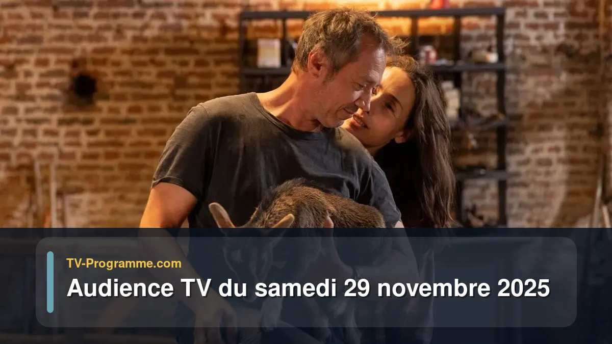 Audiences TV et audimat en prime time du Samedi 29 novembre 2025