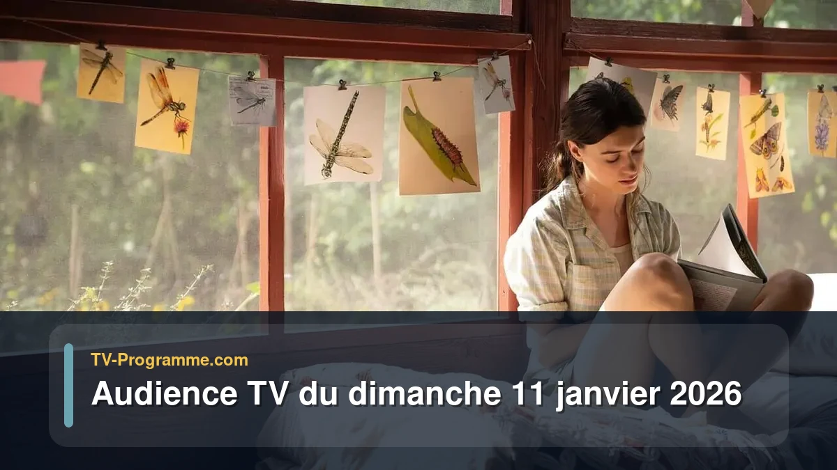 Audiences TV et audimat en prime time du Dimanche 11 janvier 2026