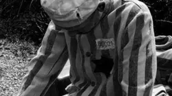 Auschwitz, les unités de la mort