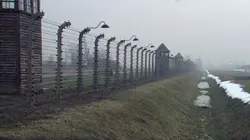 Visuel de Auschwitz, premiers témoignages