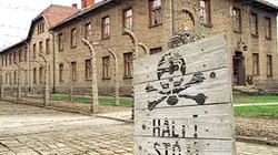 Visuel de Auschwitz : voyage au bout de l'enfer