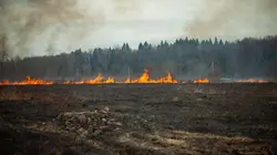 Australie et enfer écologique : la nouvelle guerre du climat