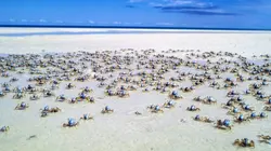 Australie, l'odyssée océanique