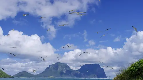 Australie, l'odyssée océanique La zone subtropicale