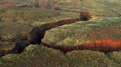 Australie, l'odyssée sauvage