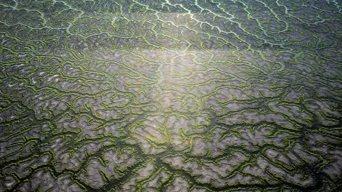 Australie, l'odyssée sauvage Des fleuves aux mangroves