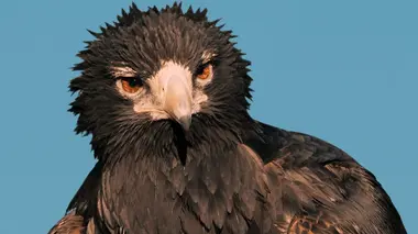 Des terres sculptées par les eaux