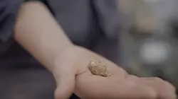 Australie, la ruée vers l'or Le prix du risque