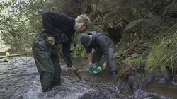 Australie, la ruée vers l'or Au voleur