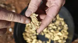 Australie, la ruée vers l'or Le tout pour le tout