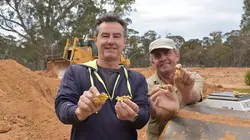 Australie, la ruée vers l'or Mission sauvetage