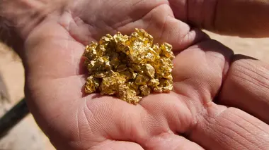 Australie, la ruée vers l'or Le pari d'une vie