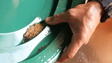 Australie, la ruée vers l'or Un dernier effort