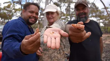 Australie, la ruée vers l'or Une amitié en or