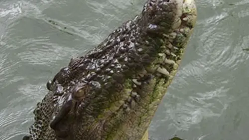 Australie : Terre hostile