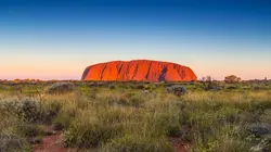 Australie : un animal, un remède