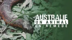 Australie : un animal, un remède
