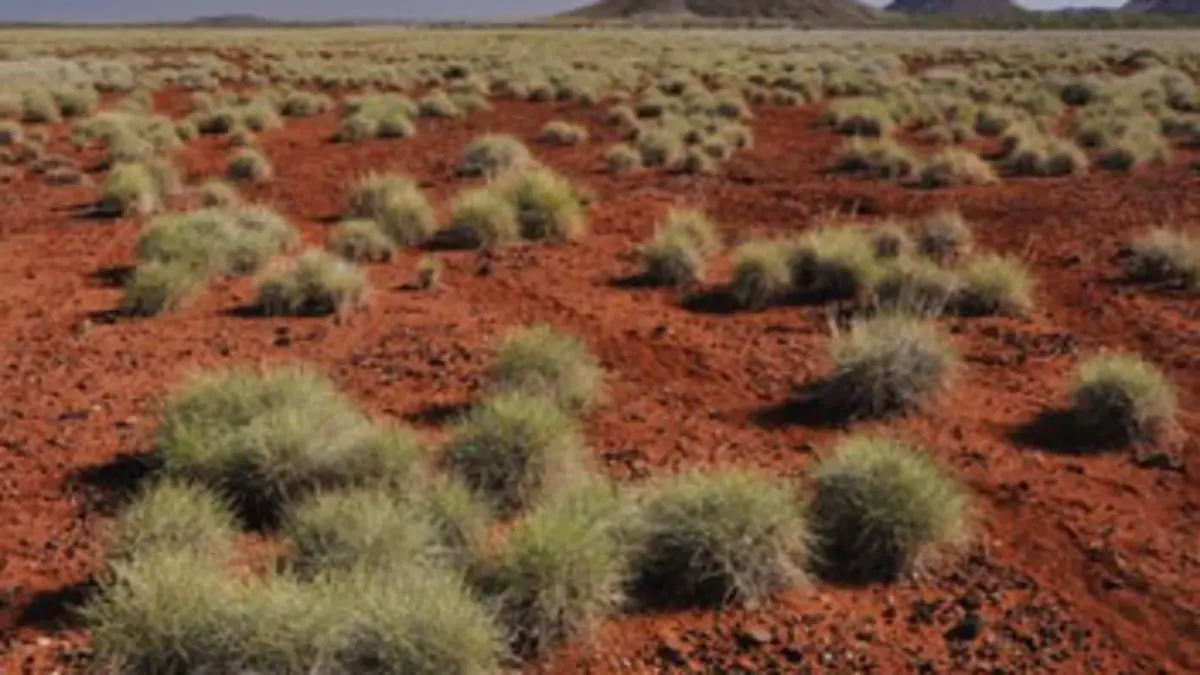 Australie : un voyage à travers le temps E01 Il y a 4 milliards d'années...