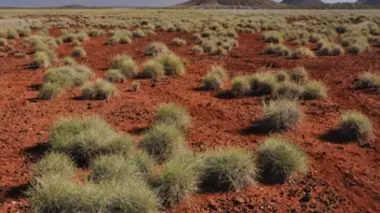Il y a 4 milliards d'années...