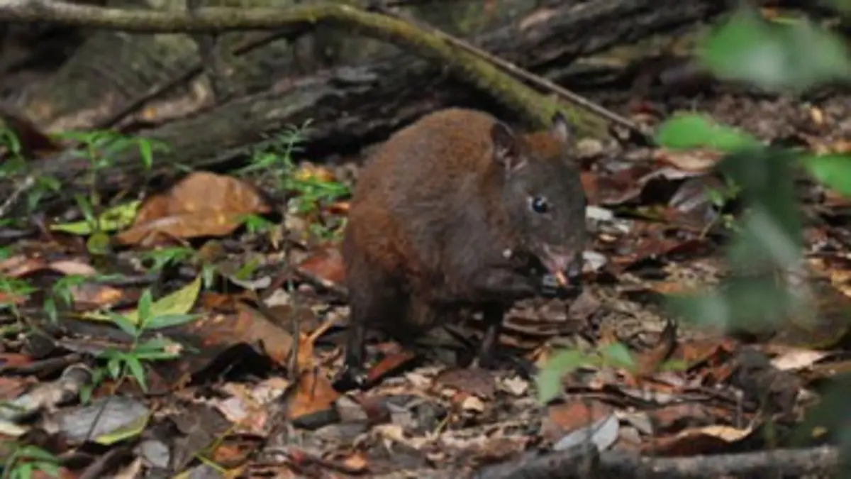 Australie : un voyage à travers le temps