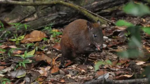 Australie : un voyage à travers le temps