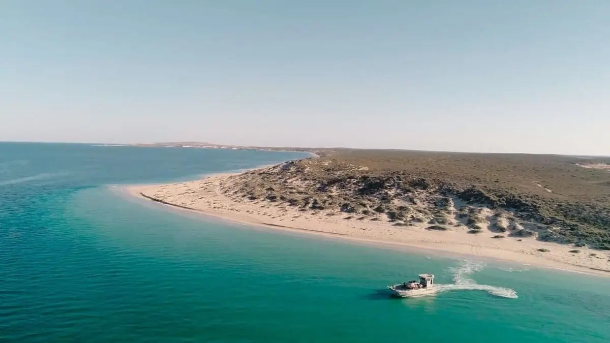 Australie, vétérinaires de l'extrême The Trip of Two Turtles