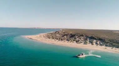Australie, vétérinaires de l'extrême The Trip of Two Turtles