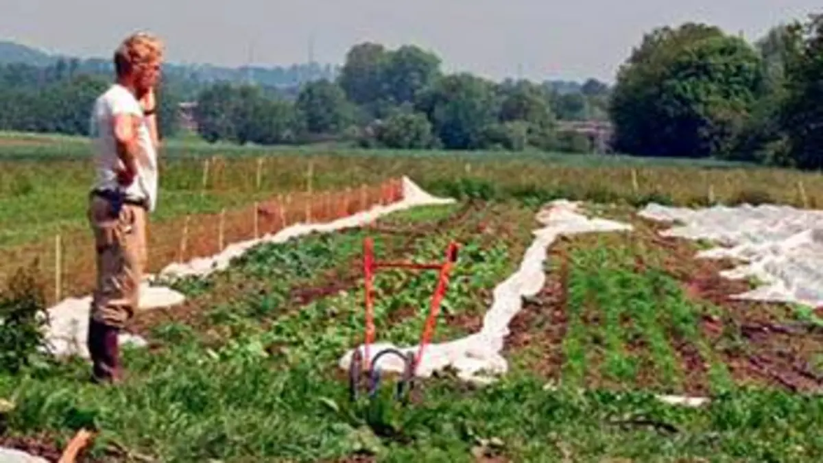 Autrement (avec des légumes)
