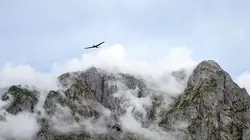 Autriche, la nature en mouvement La Styrie et les forêts