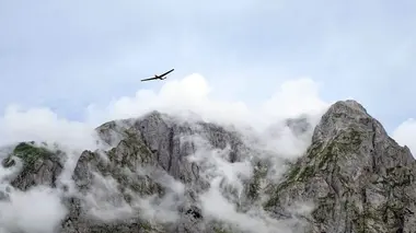 La Styrie et les forêts