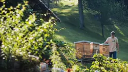 Autriche, la nature en mouvement