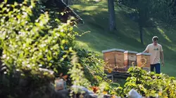 Autriche, la nature en mouvement