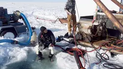 Aux confins de l'Alaska