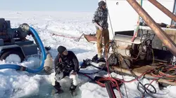 Aux confins de l'Alaska