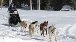 Aux frontières de l'Alaska  Derniers jours d'hiver