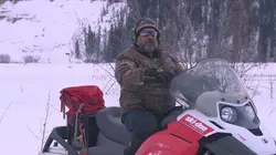 Aux frontières de l'Alaska  Le grand méchant loup