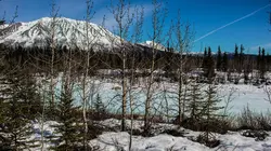 Aux frontières de l'Alaska L'inconnu