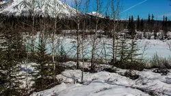 Aux frontières de l'Alaska