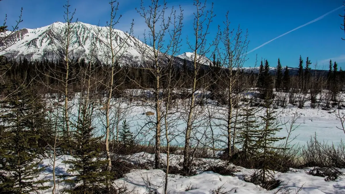 Visuel de Aux frontières de l'Alaska Des touristes en ville