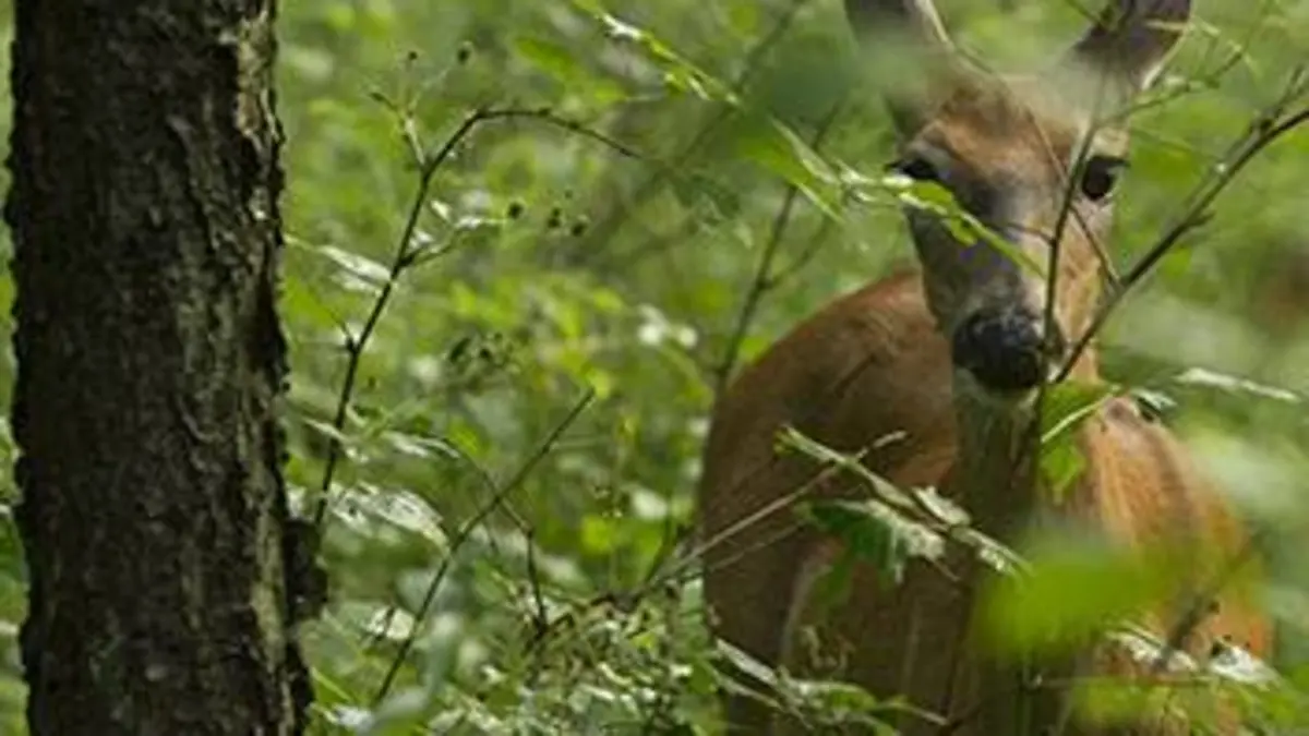 Aux frontières du Canada E02 L'ouest sauvage
