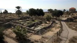 Visuel de Aux origines