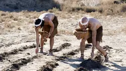 Aux origines de l'histoire