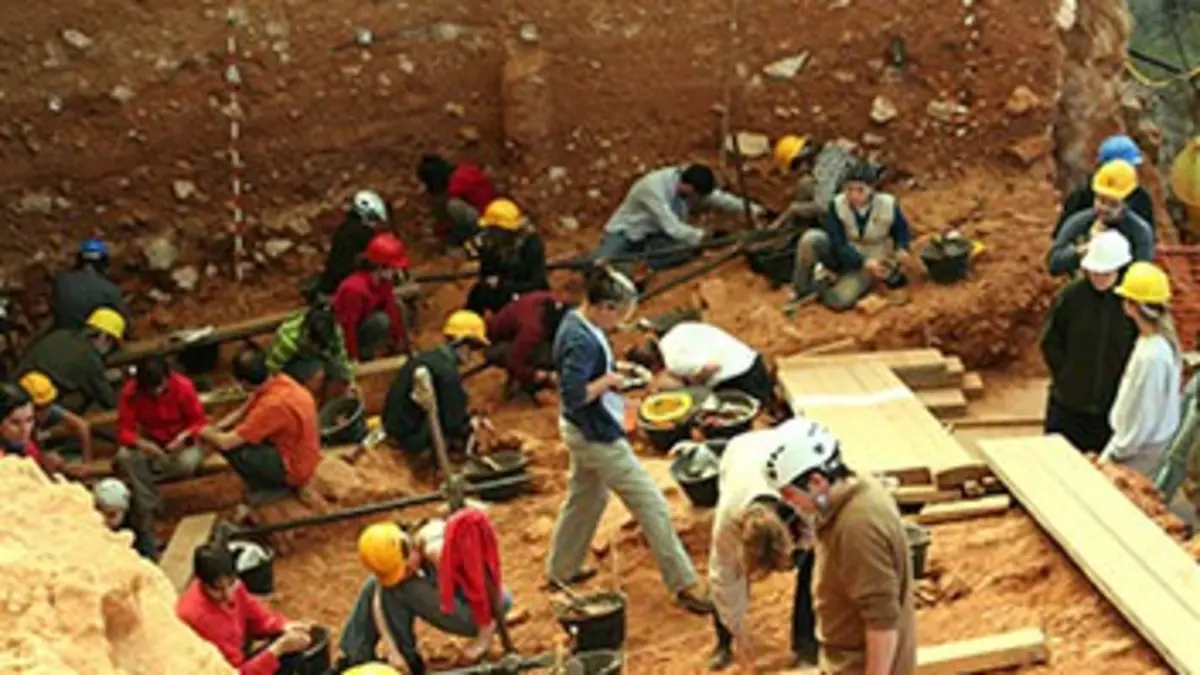 Aux origines de l'humanité