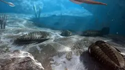 Visuel de Aux origines de la vie